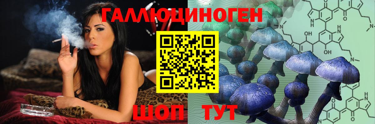 Шебекино  Псилоцибиновые грибы Psilocybe  Вход с VPN 